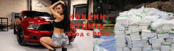 индика Абдулино