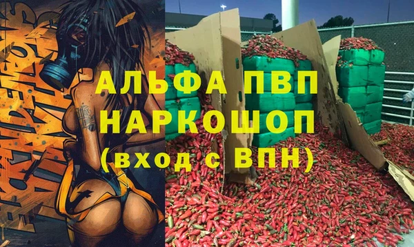 индика Абдулино