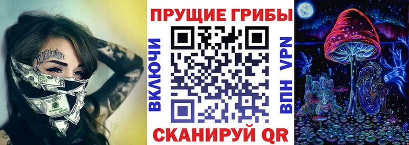 где купить   Черногорск  Галлюциногенные грибы мухоморы 